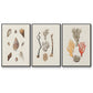 Knorr Shells & Coral IV - Floater Framed Canvas Set