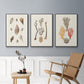Knorr Shells & Coral IV - Floater Framed Canvas Set