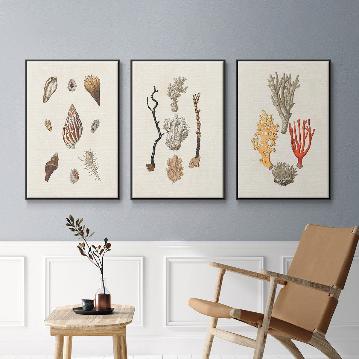 Knorr Shells & Coral IV - Floater Framed Canvas Set