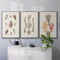 Knorr Shells & Coral IV - Floater Framed Canvas Set