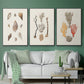Knorr Shells & Coral IV - Floater Framed Canvas Set