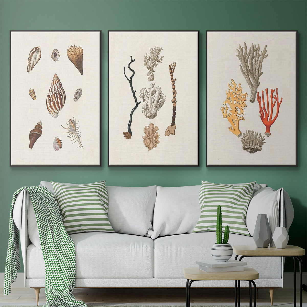 Knorr Shells & Coral IV - Floater Framed Canvas Set