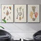 Knorr Shells & Coral IV - Floater Framed Canvas Set