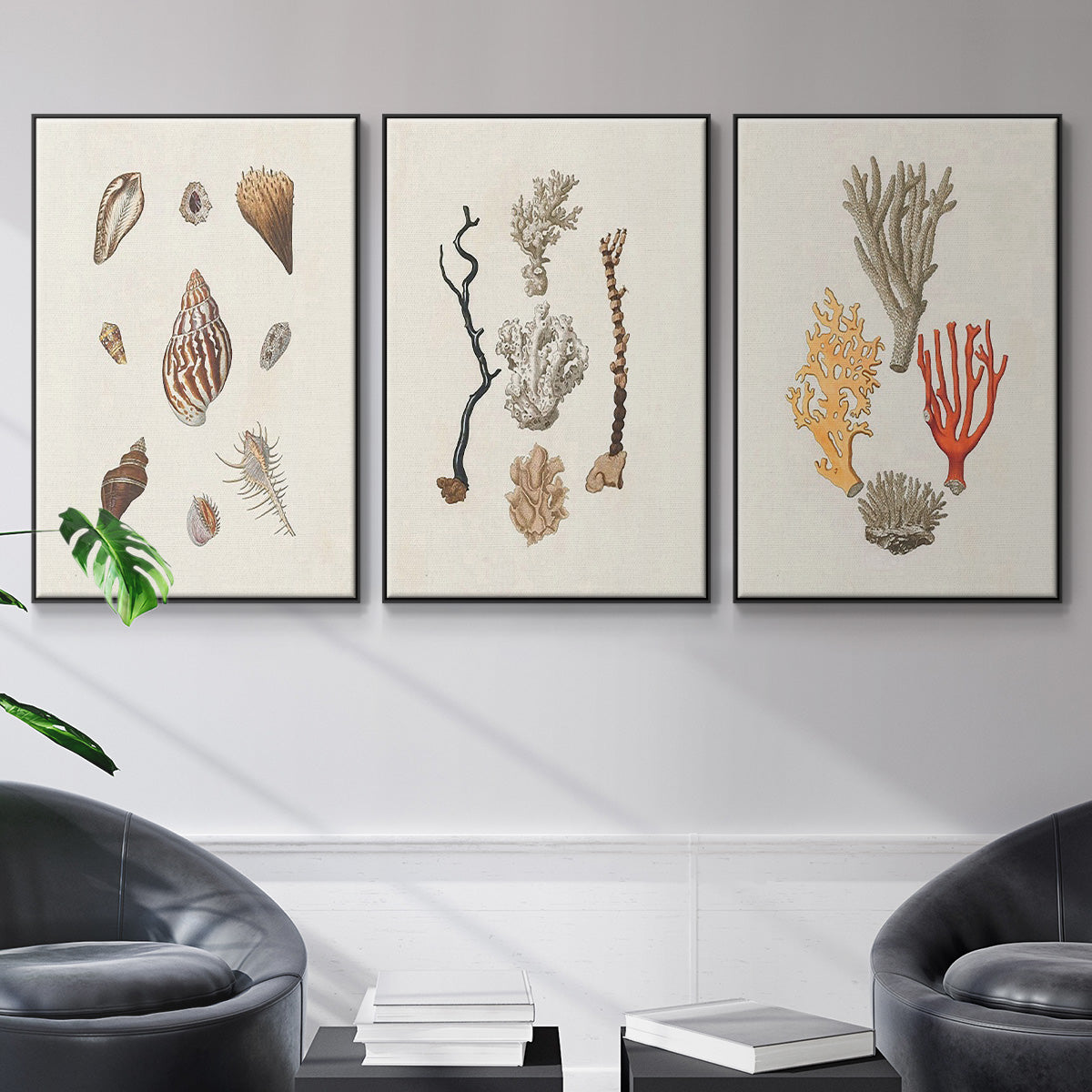 Knorr Shells & Coral IV - Floater Framed Canvas Set