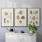 Knorr Shells & Coral VI - Floater Framed Canvas Set