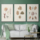 Knorr Shells & Coral VI - Floater Framed Canvas Set