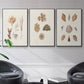 Knorr Shells & Coral VI - Floater Framed Canvas Set