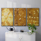Turmeric Sunrise I - Floater Framed Canvas Set