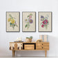 Antique Garden Bouquet I - Floater Framed Canvas Set