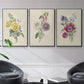 Antique Garden Bouquet I - Floater Framed Canvas Set