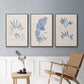 Blue Marine Algae I - Floater Framed Canvas Set
