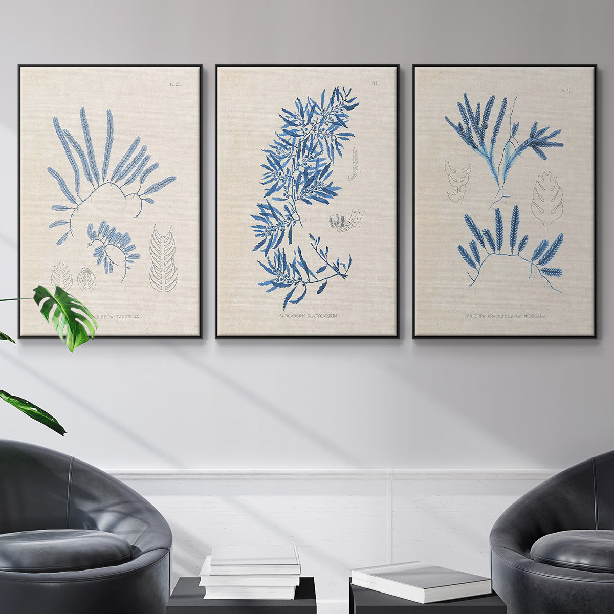 Blue Marine Algae I - Floater Framed Canvas Set