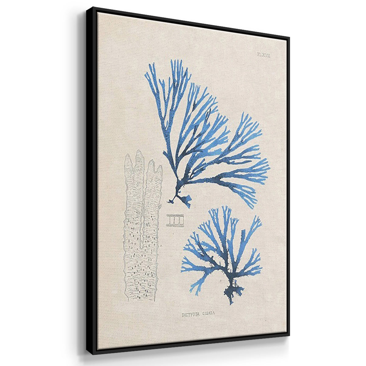Blue Marine Algae IV - Floater Framed Canvas Set