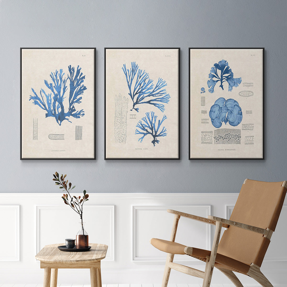 Blue Marine Algae IV - Floater Framed Canvas Set