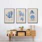Blue Marine Algae IV - Floater Framed Canvas Set