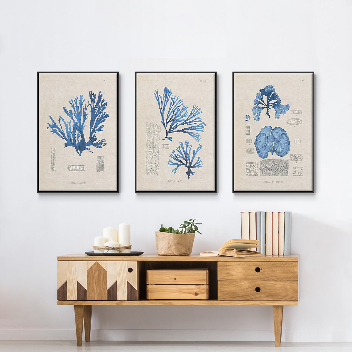 Blue Marine Algae IV - Floater Framed Canvas Set