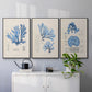 Blue Marine Algae IV - Floater Framed Canvas Set