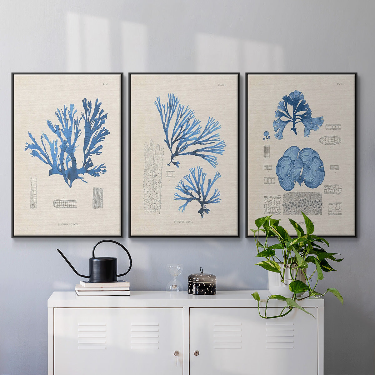 Blue Marine Algae IV - Floater Framed Canvas Set