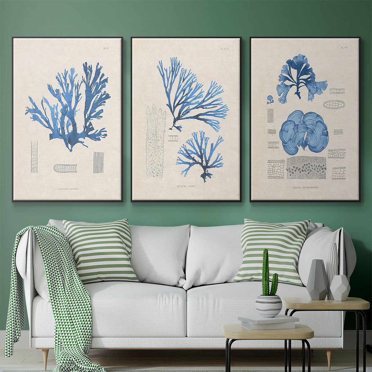 Blue Marine Algae IV - Floater Framed Canvas Set