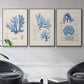 Blue Marine Algae IV - Floater Framed Canvas Set