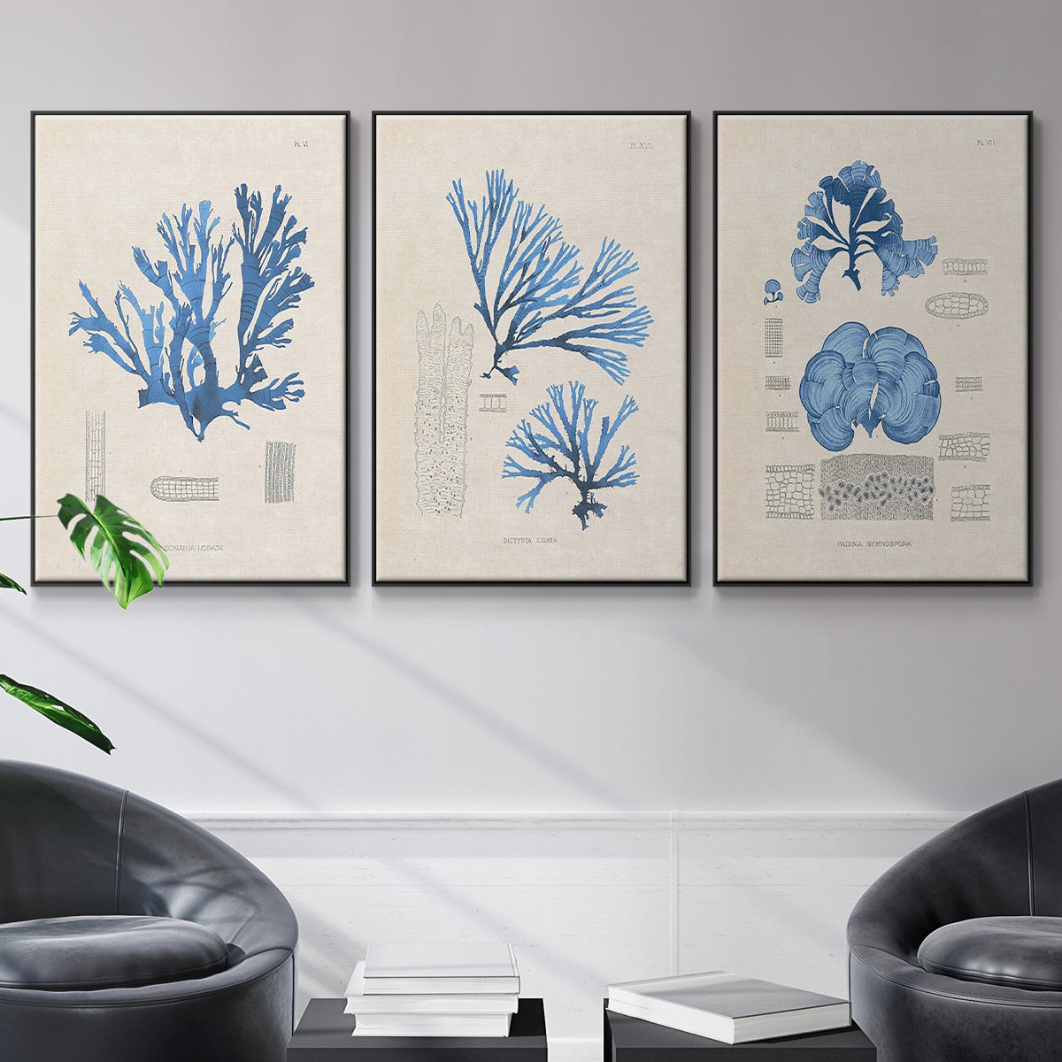 Blue Marine Algae IV - Floater Framed Canvas Set