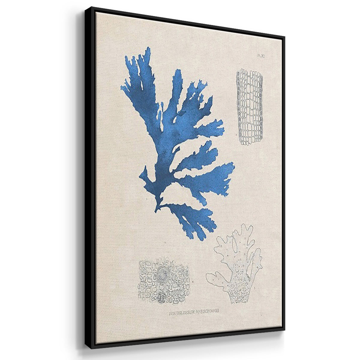 Blue Marine Algae VI - Floater Framed Canvas Set