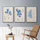 Blue Marine Algae VI - Floater Framed Canvas Set