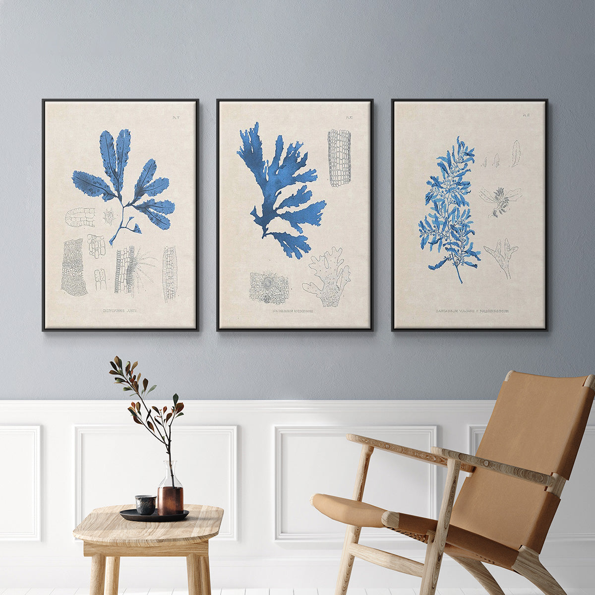 Blue Marine Algae VI - Floater Framed Canvas Set