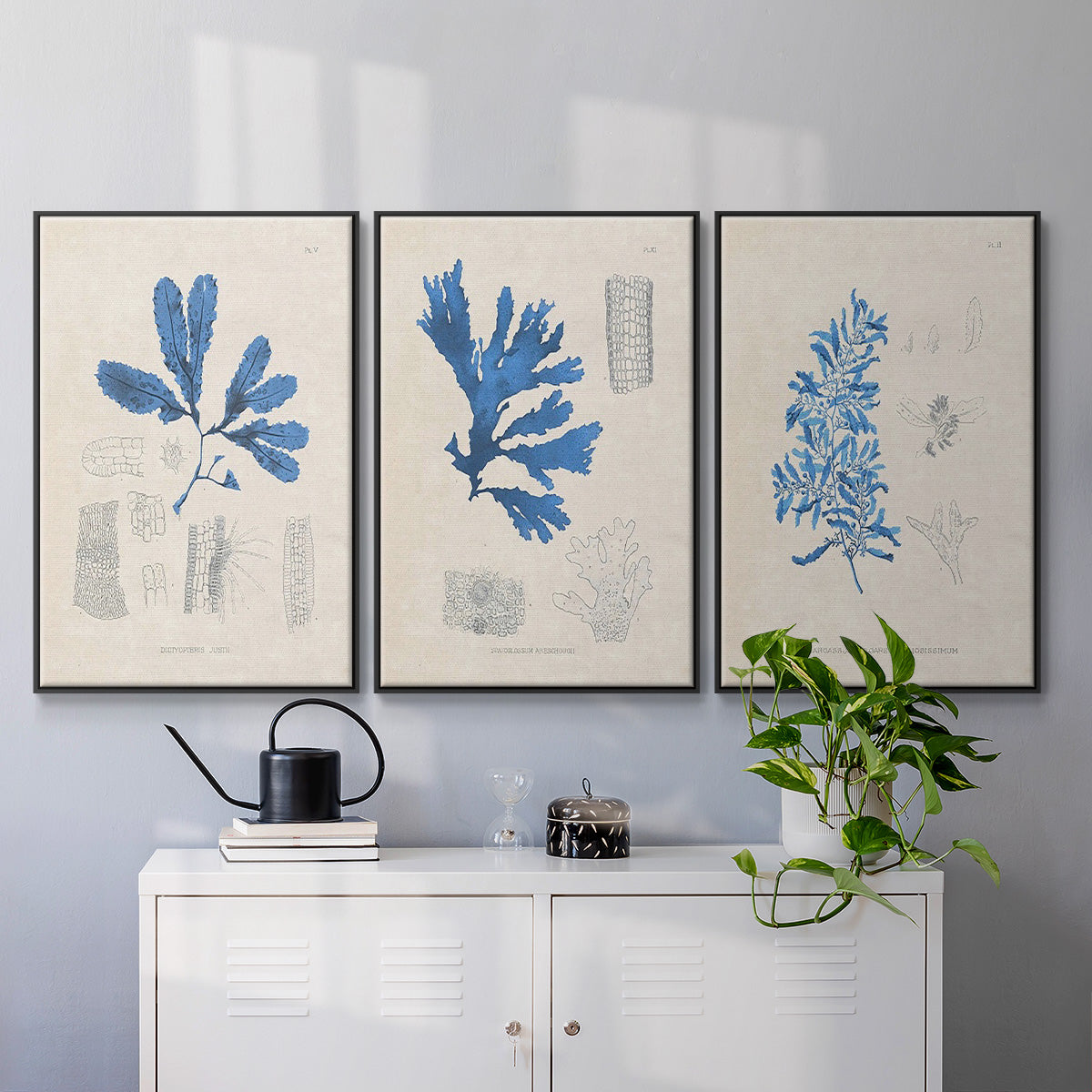 Blue Marine Algae VI - Floater Framed Canvas Set