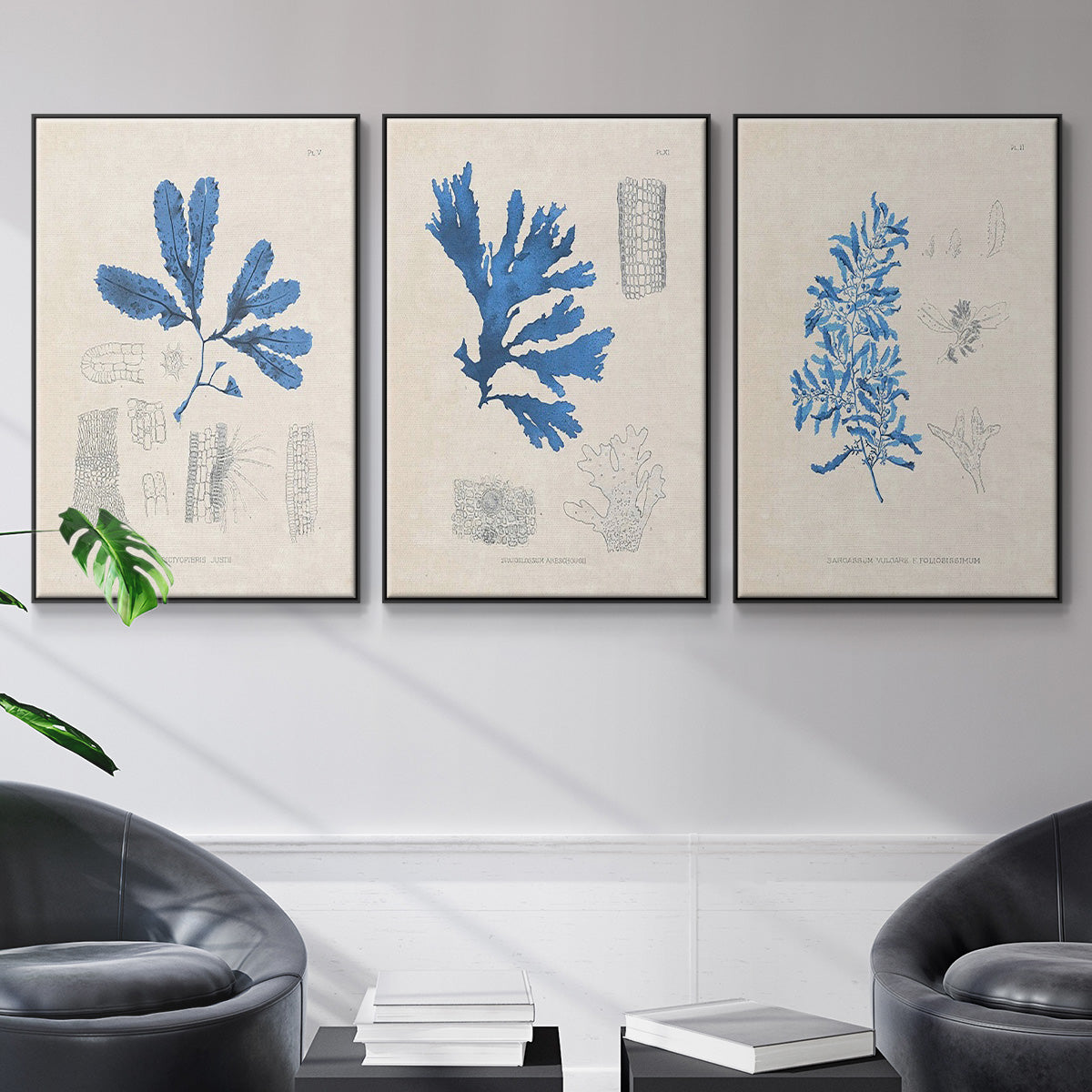 Blue Marine Algae VI - Floater Framed Canvas Set