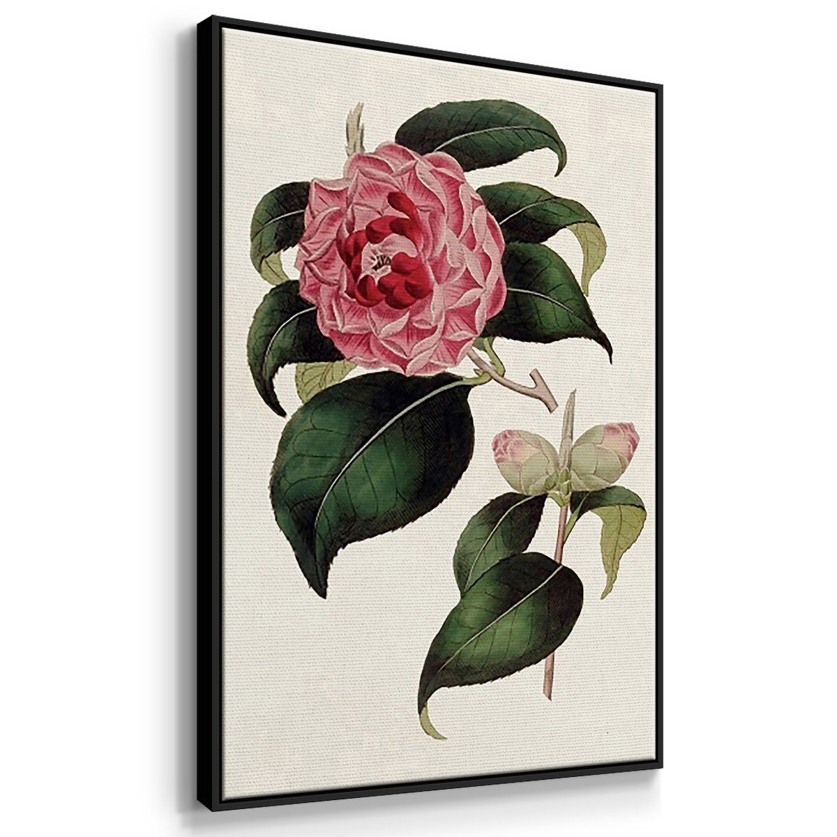 Pink Floral Mix I - Floater Framed Canvas Set