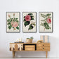Pink Floral Mix I - Floater Framed Canvas Set