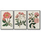 Pink Floral Mix IV - Floater Framed Canvas Set