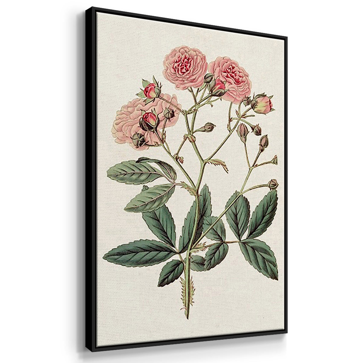 Pink Floral Mix IV - Floater Framed Canvas Set