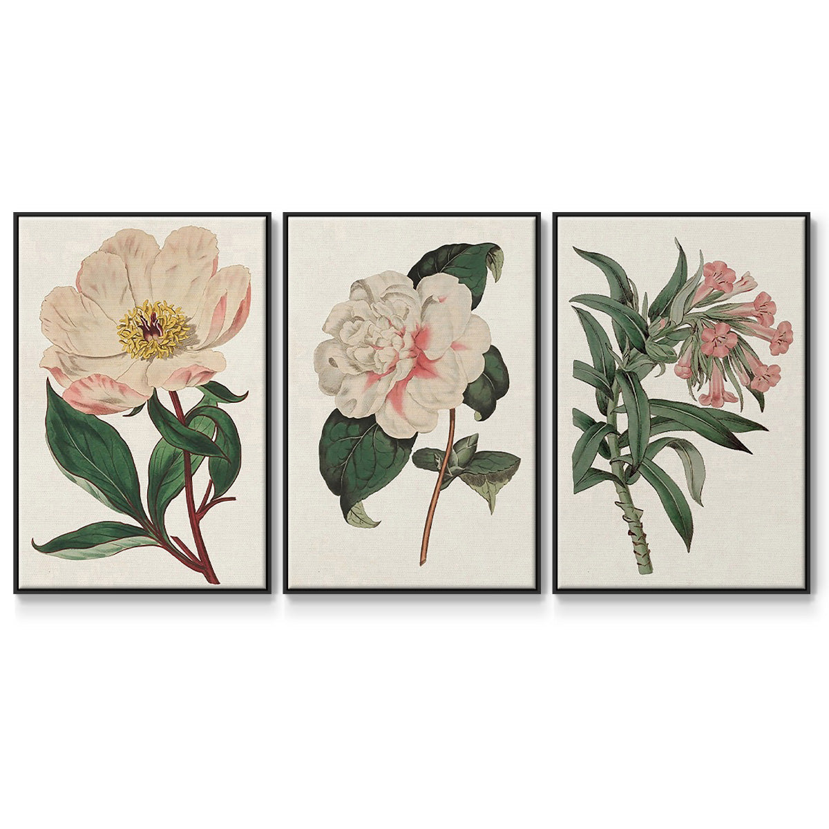 Pink Floral Mix VI - Floater Framed Canvas Set