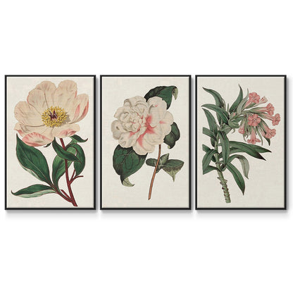Pink Floral Mix VI - Floater Framed Canvas Set
