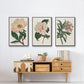 Pink Floral Mix VI - Floater Framed Canvas Set