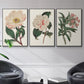 Pink Floral Mix VI - Floater Framed Canvas Set