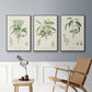 Antique Almond Botanical I - Floater Framed Canvas Set