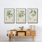 Antique Almond Botanical I - Floater Framed Canvas Set