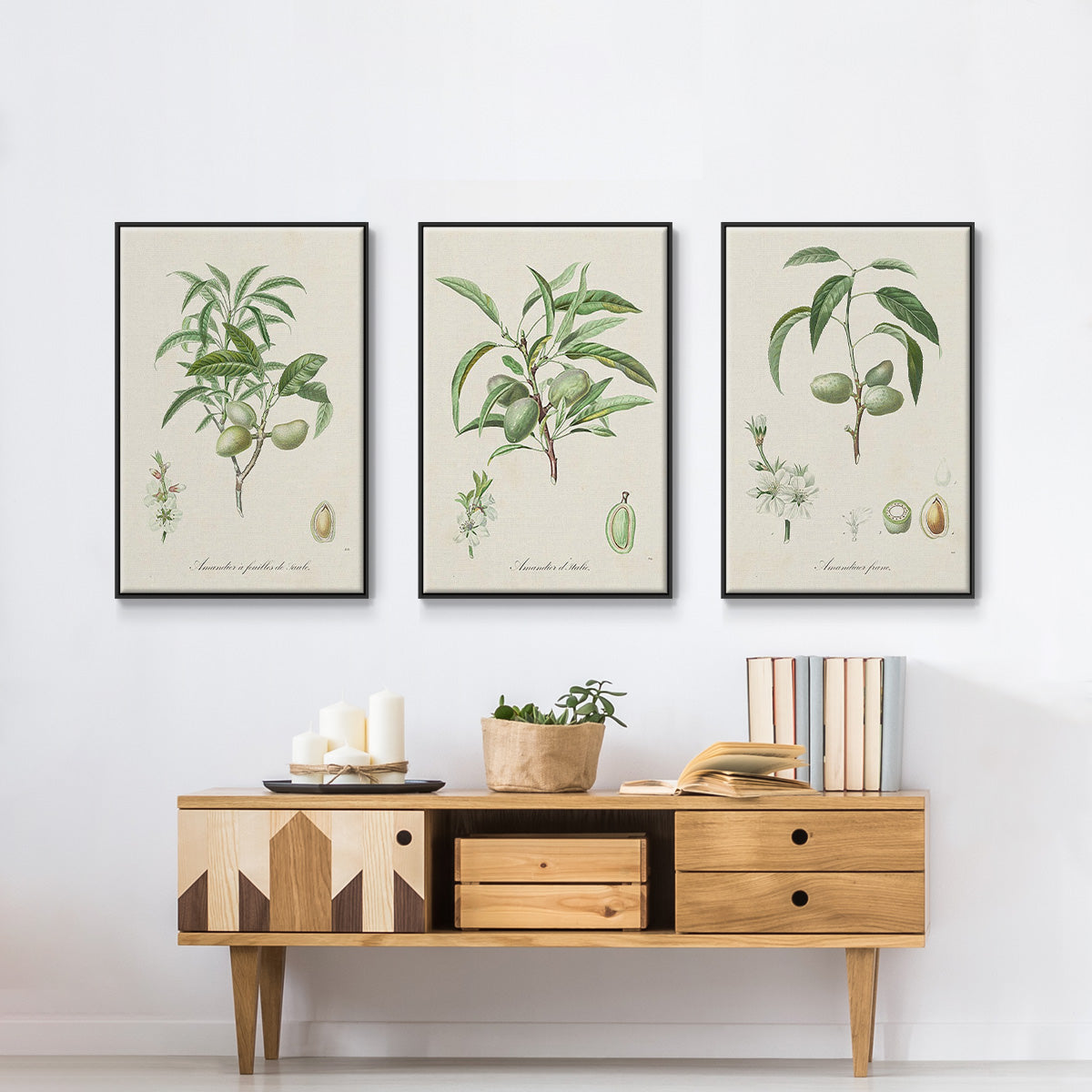 Antique Almond Botanical I - Floater Framed Canvas Set