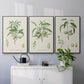 Antique Almond Botanical I - Floater Framed Canvas Set