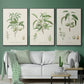 Antique Almond Botanical I - Floater Framed Canvas Set