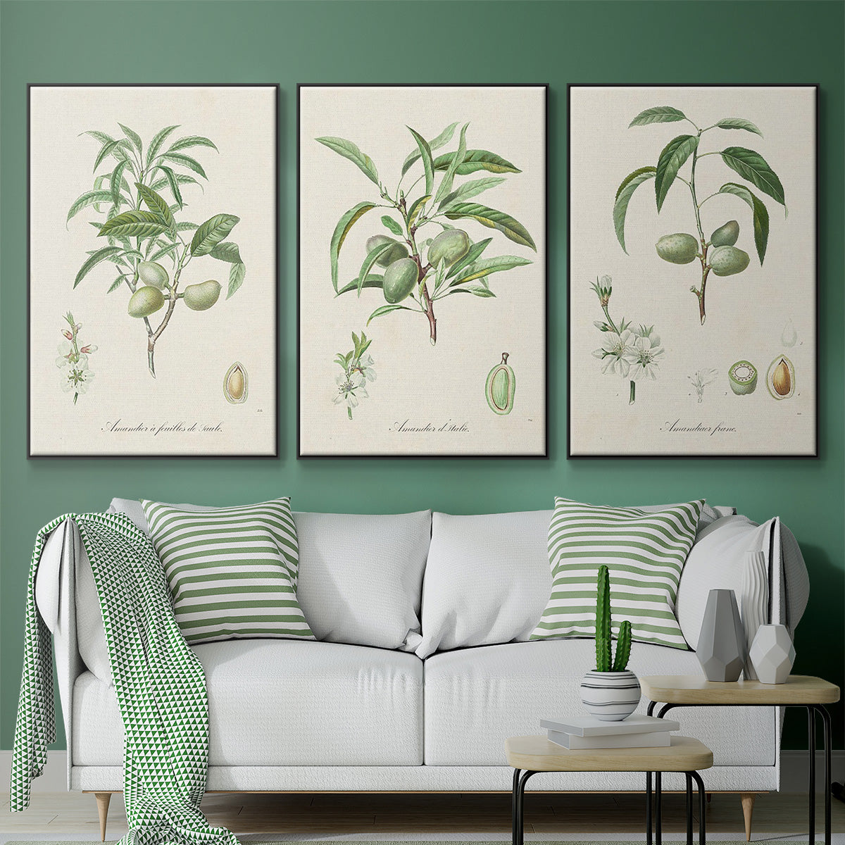 Antique Almond Botanical I - Floater Framed Canvas Set