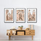 Blush Architecture Study I - Floater Framed Canvas Set
