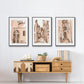Blush Architecture Study IV - Floater Framed Canvas Set