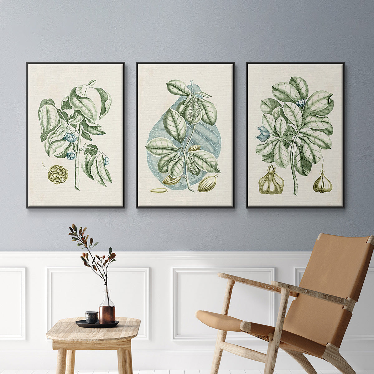 Buchoz Tropicals IX - Floater Framed Canvas Set