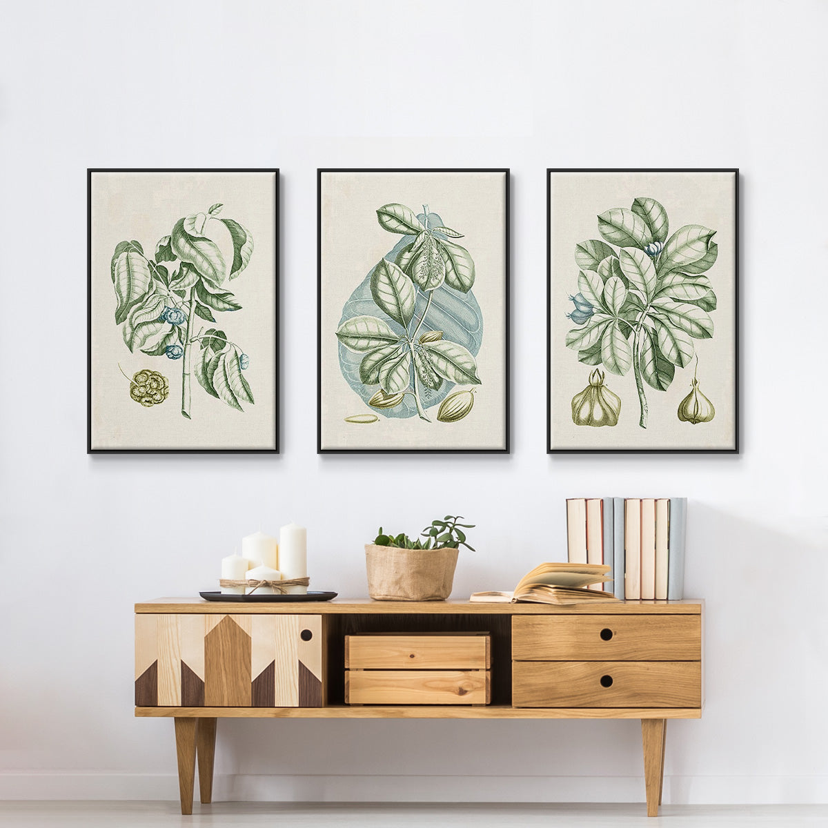 Buchoz Tropicals IX - Floater Framed Canvas Set