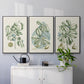 Buchoz Tropicals IX - Floater Framed Canvas Set