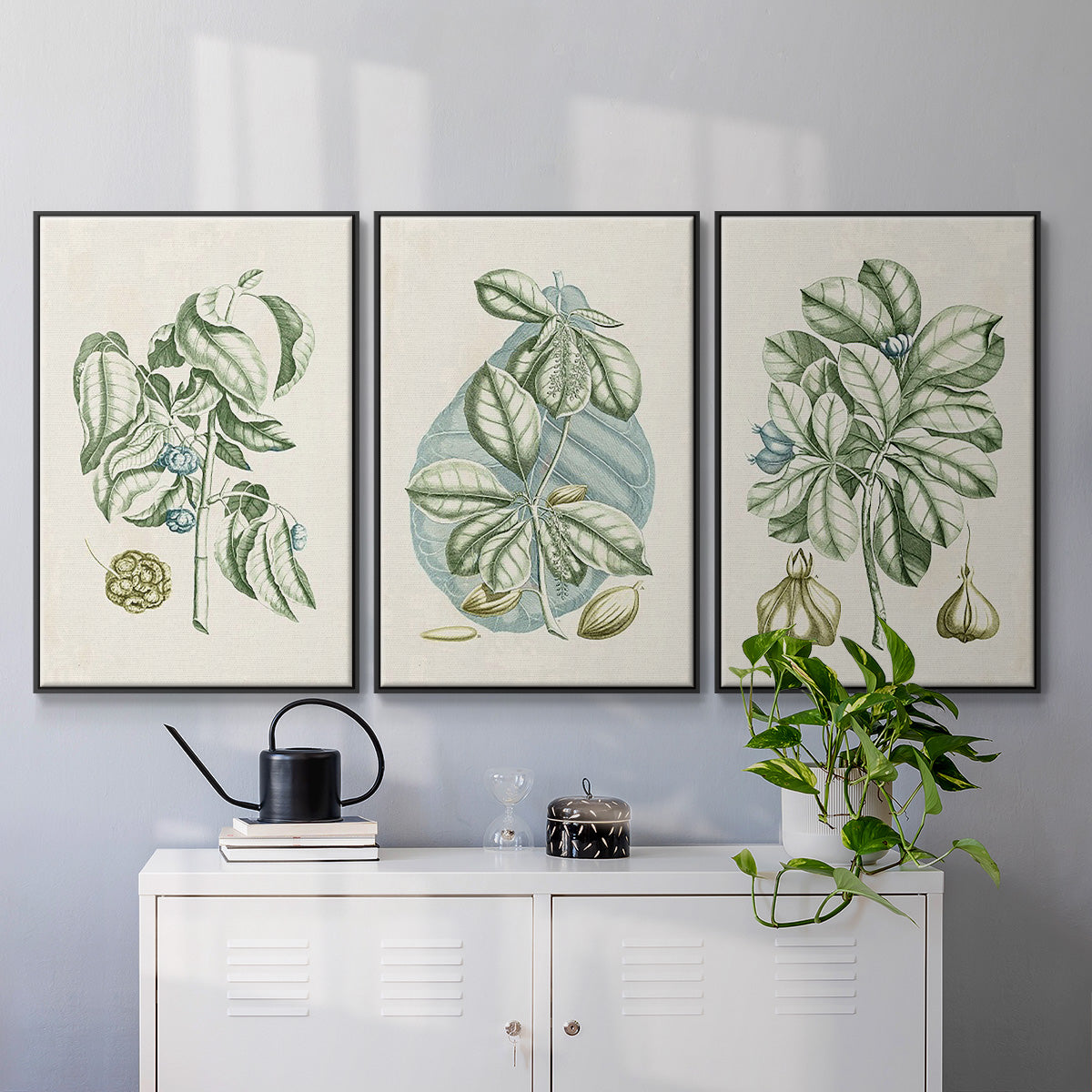 Buchoz Tropicals IX - Floater Framed Canvas Set